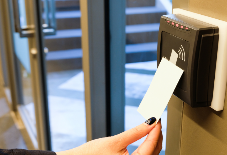 Untitled design - 2025-04-16T134542.706